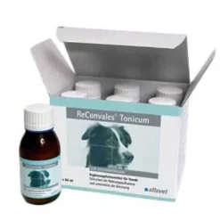 Reconvales Tonicum für Hunde, 6X90 ml