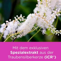 Remifemin® mono , 60 St