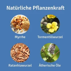 Repha OS Mund- und Rachenspray, 12 ml