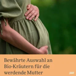 Salus Schwangerschaftstee Bio Filterbeutel, 15 St