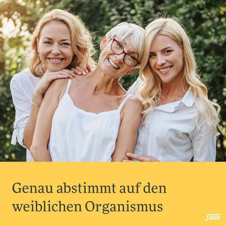 Salus Stilltee Bio Filterbeutel, 15 St