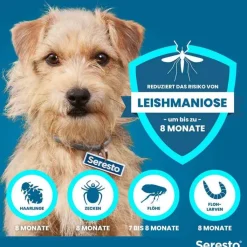 Seresto® Halsband für kleine Hunde bis 8 kg, 1 St