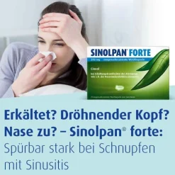 SINOLPAN® FORTE 200 mg Weichkapseln, 21 St