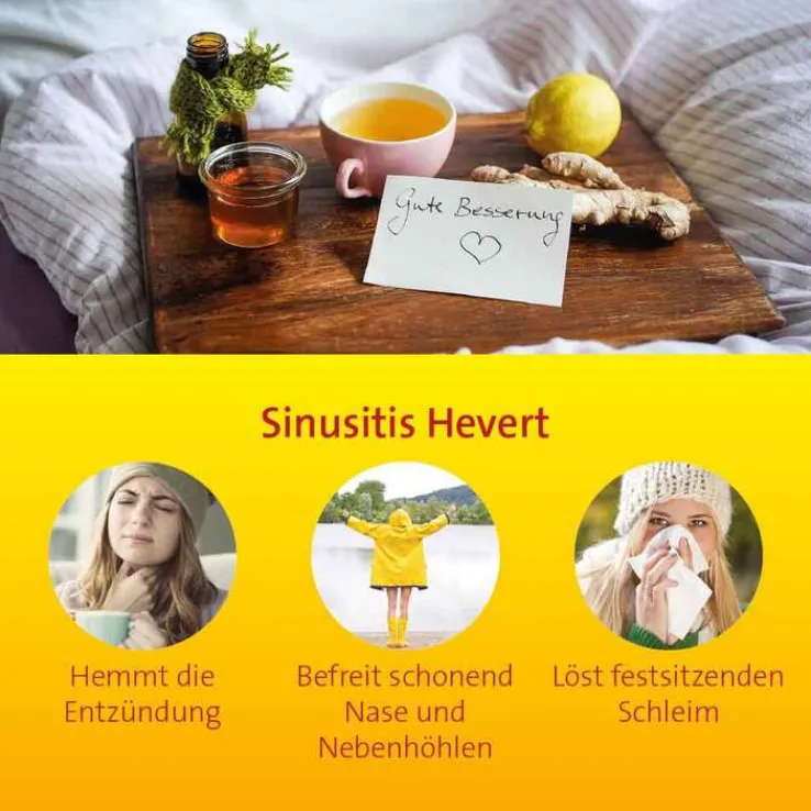 Sinusitis Hevert Tabletten, 300 St