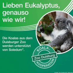 Soledum Kapseln , 50 St