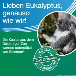 Soledum Kapseln forte, 2x100 St