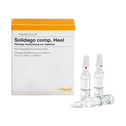 Solidago comp. Heel Ampullen, 100 St