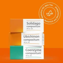 Solidago compositum ad us. vet. Ampullen, 10 St