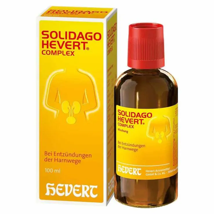 Solidago Hevert Complex Tropfen, 100 ml