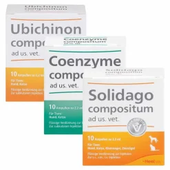 Suc Kombination, 3x10 St