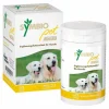 Symbiopet dog Ergänzungsfuttermittel für Hunde, 175 g