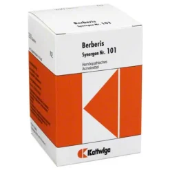 Synergon 101 Berberis Tabletten, 200 St