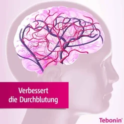 Tebonin konzent 240 mg Filmtabletten, 120 St