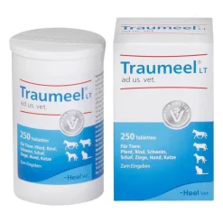 Traumeel LT ad us.vet.Tabletten, 250 St