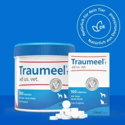 Traumeel T ad us. vet. Tabletten für Hund und Katze, 500 St
