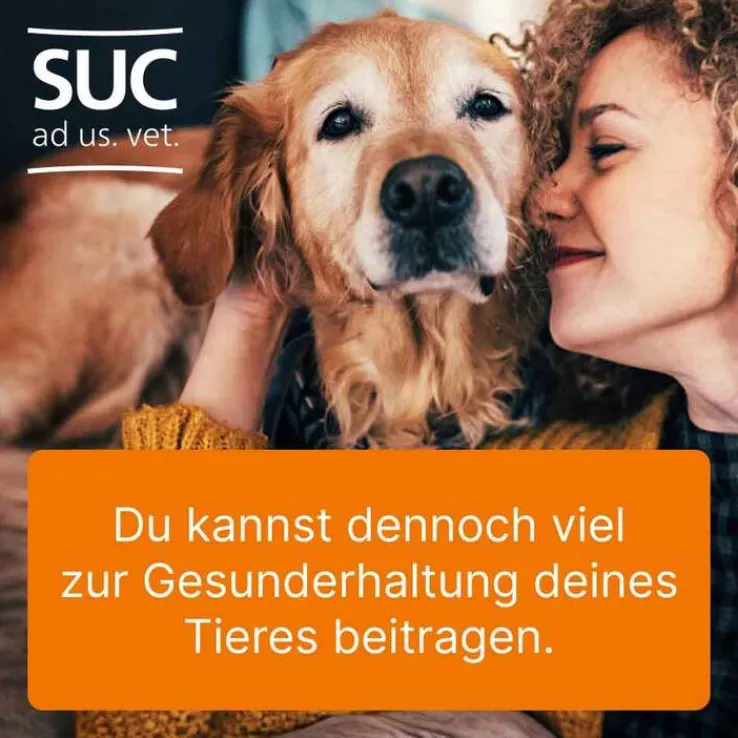 Ubichinon compositum ad us. vet. Ampullen, 10 St