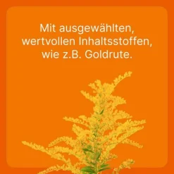 Ubichinon compositum ad us. vet. Ampullen, 10 St