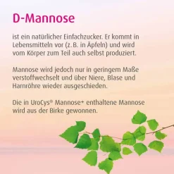 Urocys Mannose + Sticks, 15 St