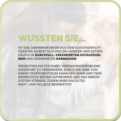 Vetvisan Tierprobiotikum Pulver für Hunde / Katzen, 100 g