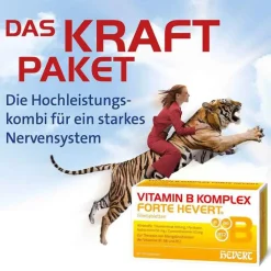 Vitamin B Komplex forte Hevert Tabletten, 100 St