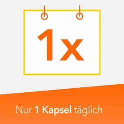 Vitamin B-Komplex ratiopharm Kapseln, 60 St