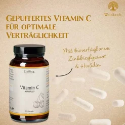 Vitamin C-Komplex Zink Histidin vegan Kapseln Erdling, 120 St