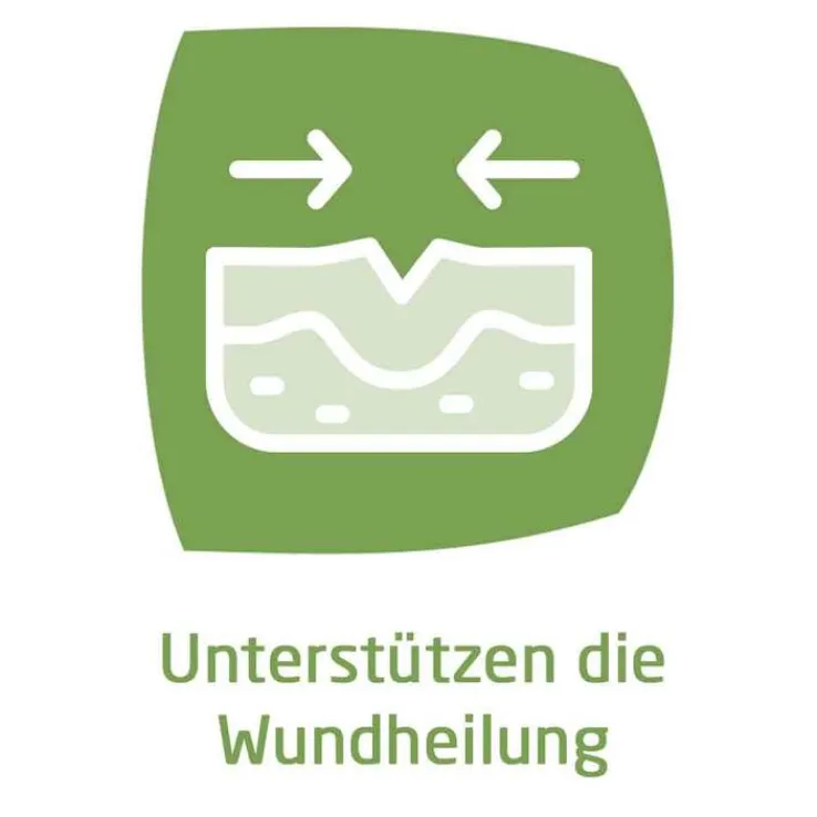 Weleda Hämorrhoidalzäpfchen, 10 St