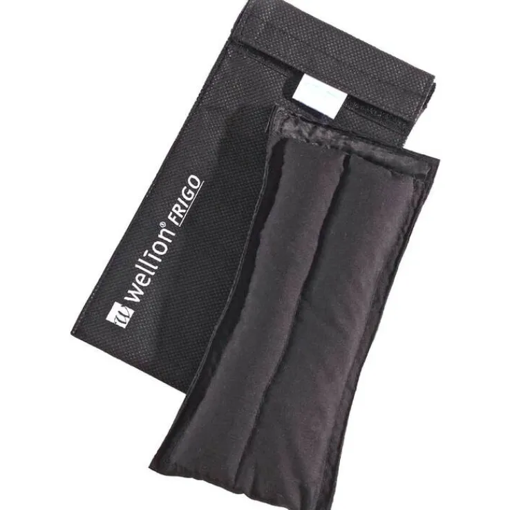 Wellion Frigo L med cooler bag, 1 St
