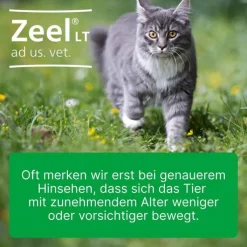 Zeel® LT ad us. vet. Tabletten, 500 St