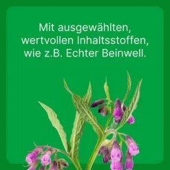 Zeel® LT ad us. vet. Tabletten, 500 St