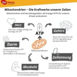 Zell Oxygen plus flüssig, 250 ml